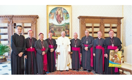 台灣七主教羅馬述職 邀請教宗明年赴台訪問封面