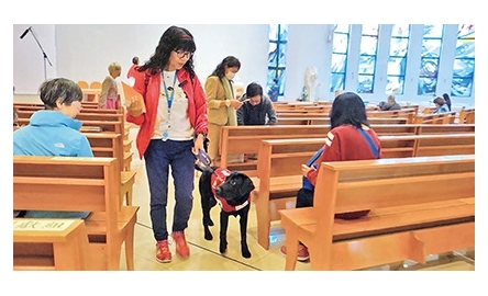 信徒鍾艾倫照顧幼犬 育成導盲犬服務視障者封面