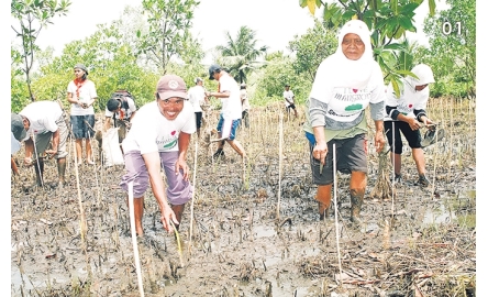 傳教士將沼澤變為良田 服務印尼穆斯林近半世紀封面