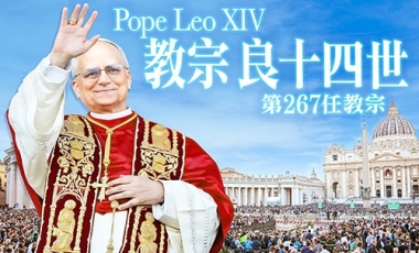 Pope LEO _500 Pope LEO _500