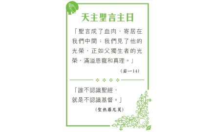 天主聖言主日封面