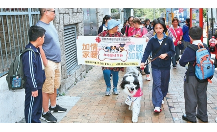 明愛莊月明中學學生 與治療犬探訪社區送暖封面