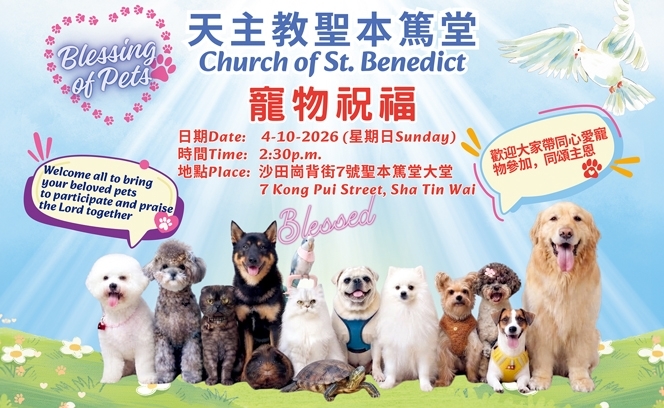 寵物祝福2:10 3