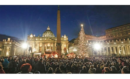 梵蒂岡聖誕樹封面