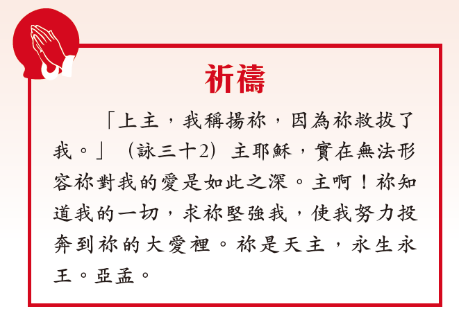 本頁圖片/檔案 - 螢幕快照 2025-04-30 下午3.53.56