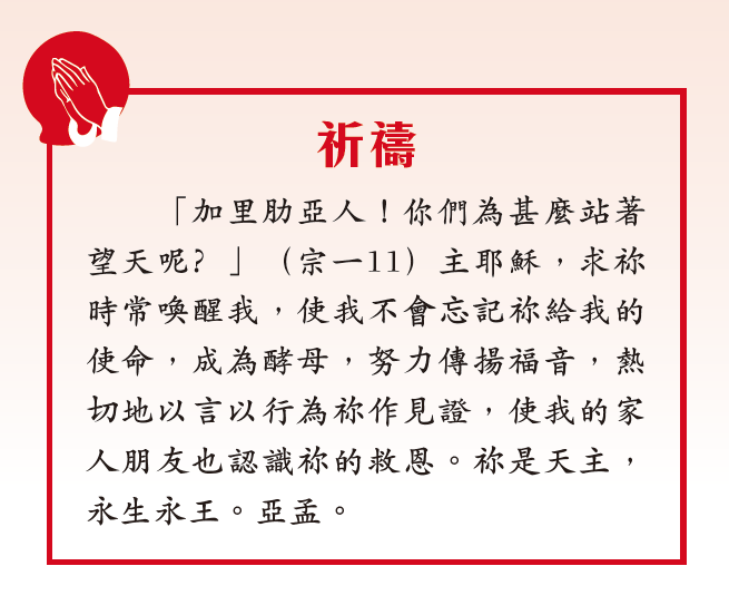 本頁圖片/檔案 - 06_Pary