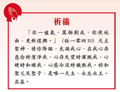 本頁圖片/檔案 - 螢幕快照 2025-06-04 下午4.15.26